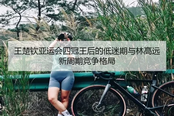 王楚钦亚运会四冠王后的低迷期与林高远新周期竞争格局