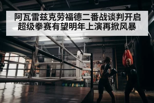 boxer training gym